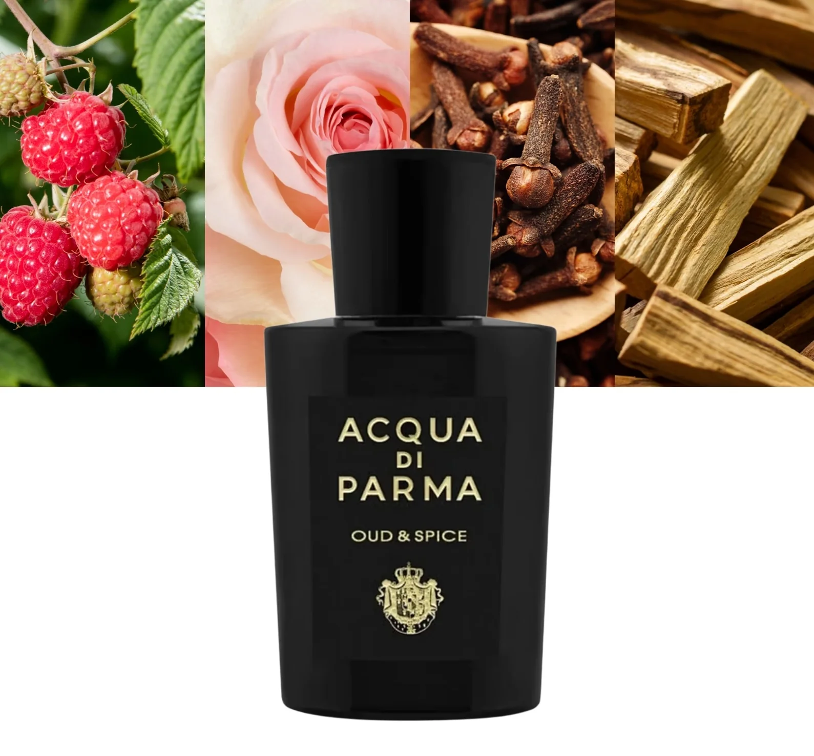 Acqua di Parma Oud & Spice EDP 180 ml - Image 3
