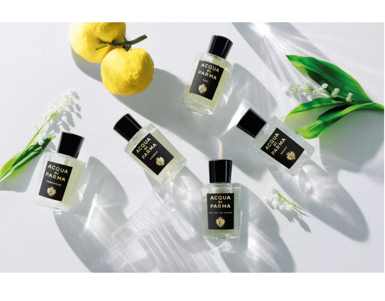Acqua Di Parma  Lily Of The Valley EDP 100 ml - Image 3