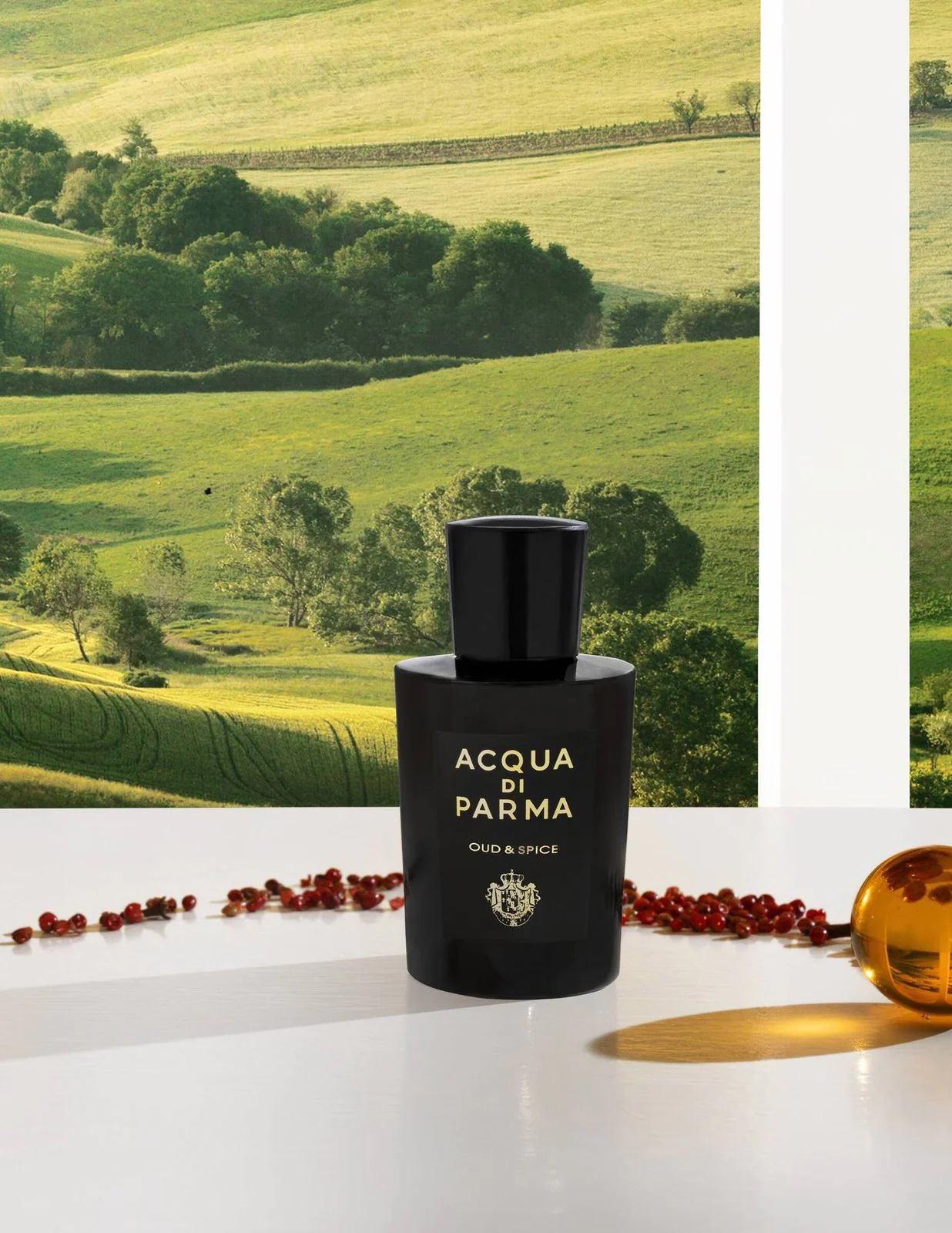 Acqua Di Pharma Oud & Spice Edp 100 ml - Image 3