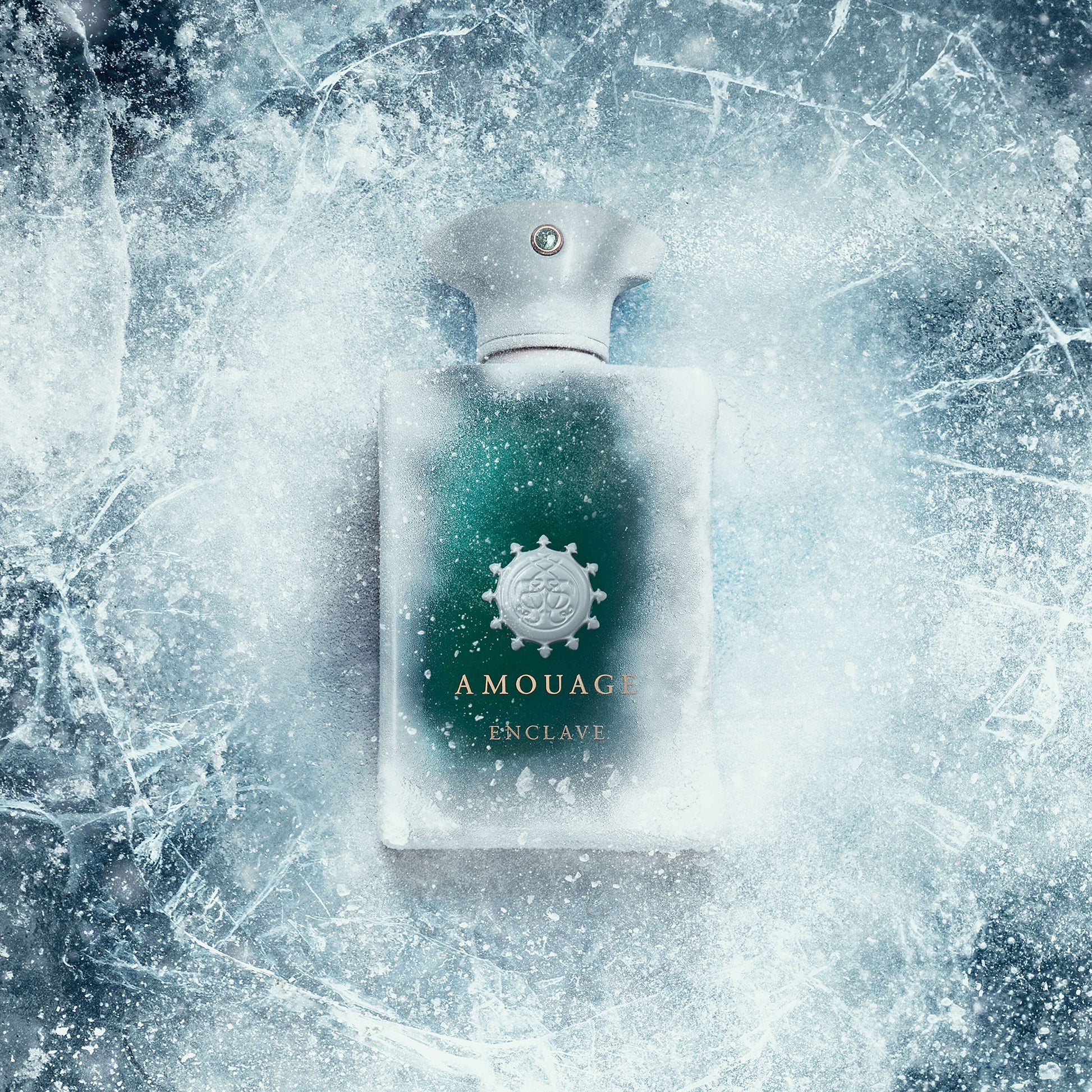Amouage Enclave Men EDP 100ml - Image 3