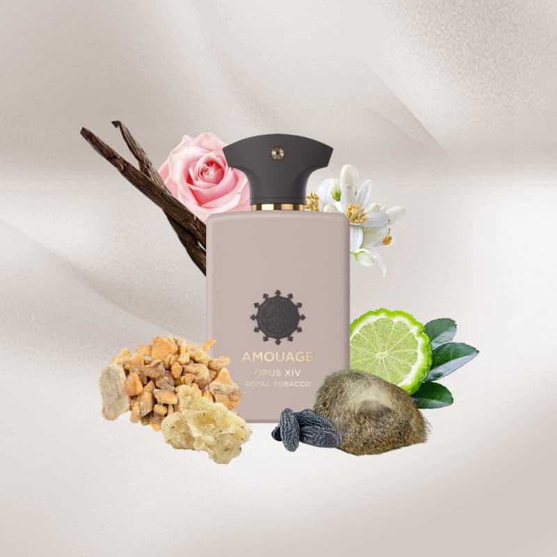 Amouage Opus XIV Royal Tobacco EDP 100 ml - Image 3