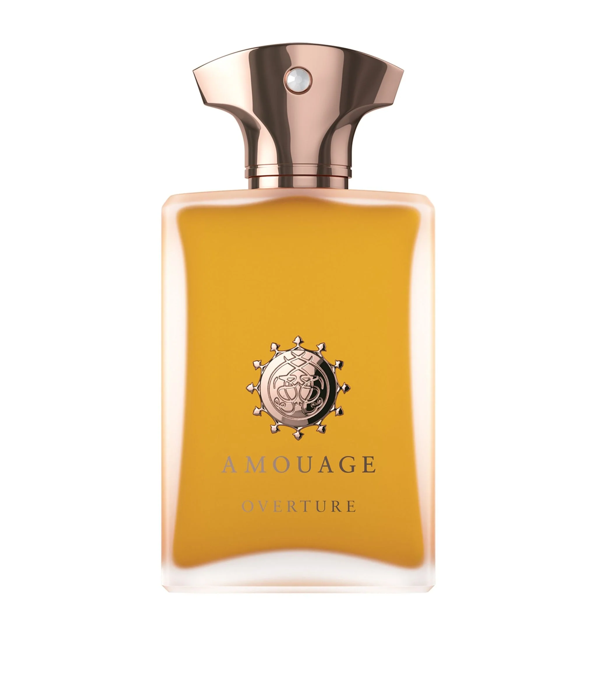 Amouage Overture Man 100 ml