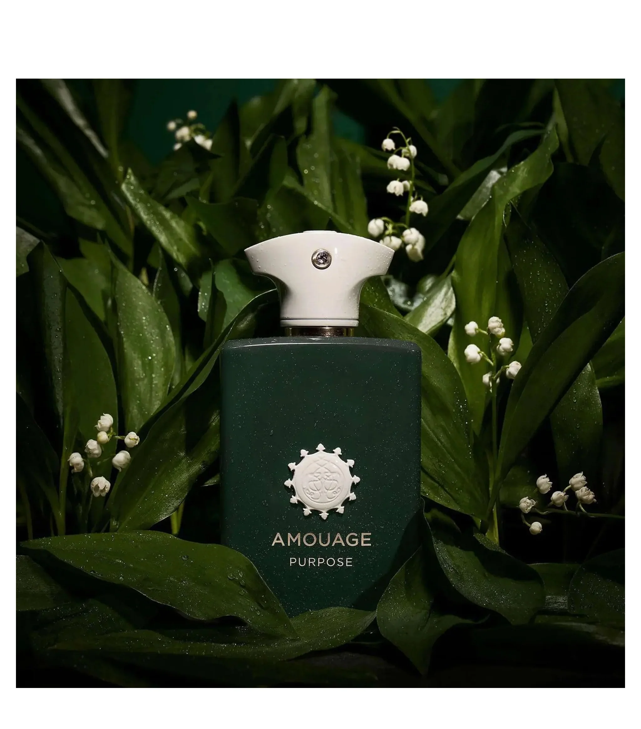 Amouage Purpose EDP 100 ml - Image 4