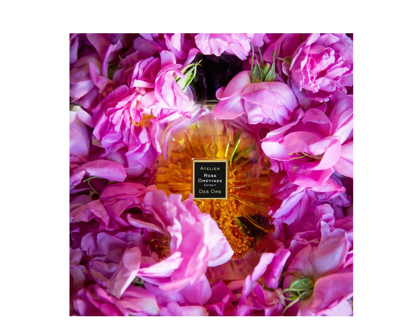 Atelier Des Ors Rose Omeyyade Extrait EDP 100 ml - Image 3