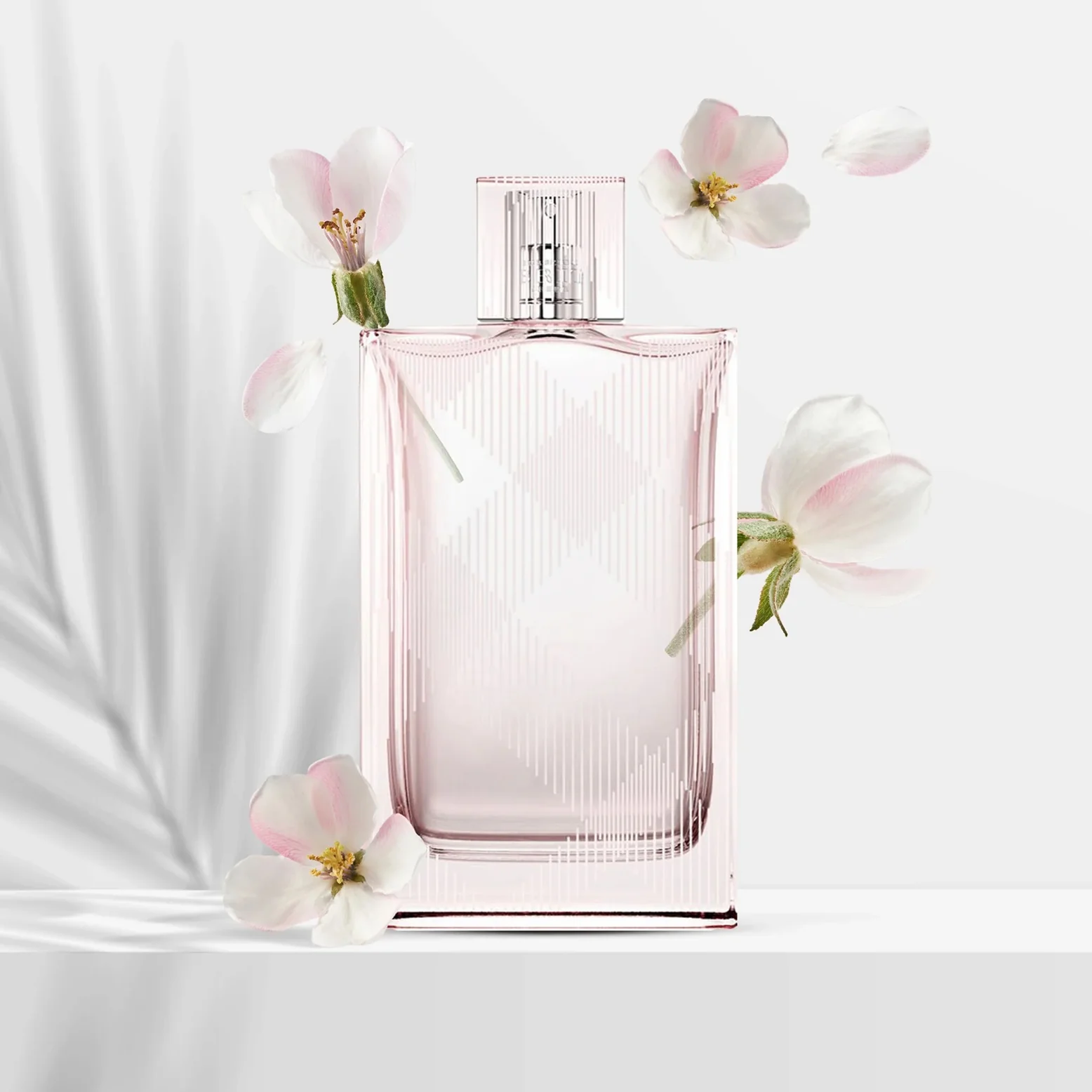 Burberry Brit Sheer For Her EDT 100ml - Image 3