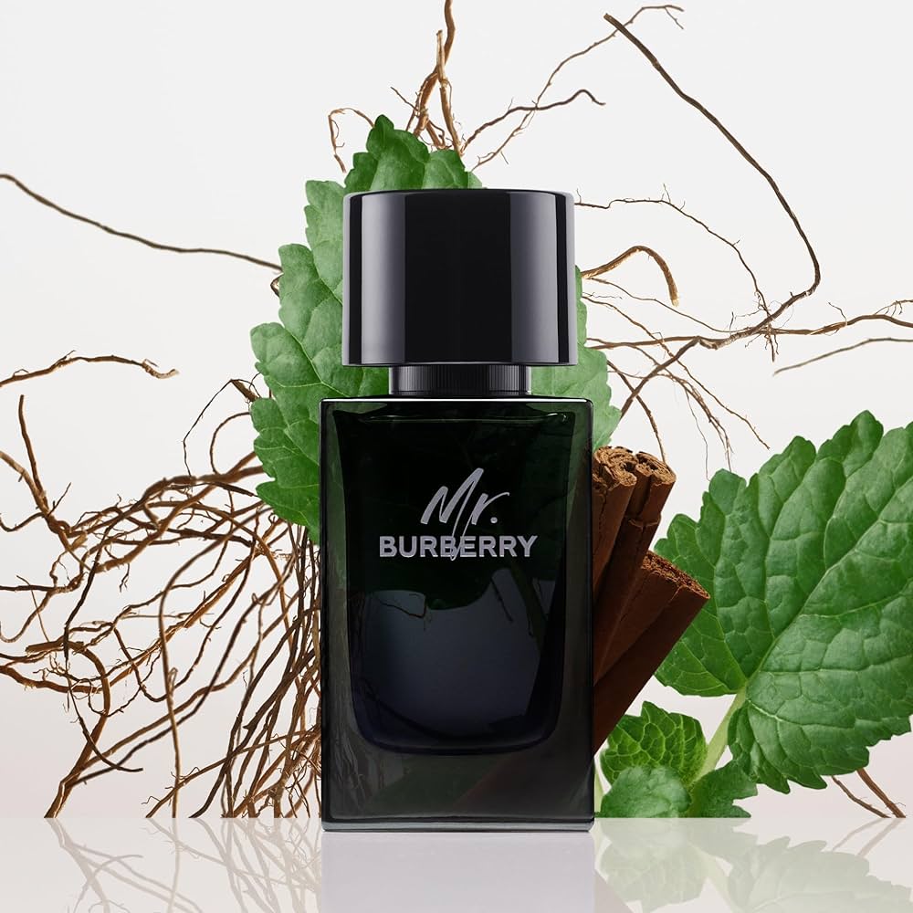 Burberry Mr Burberry EDP 100ml - Image 4