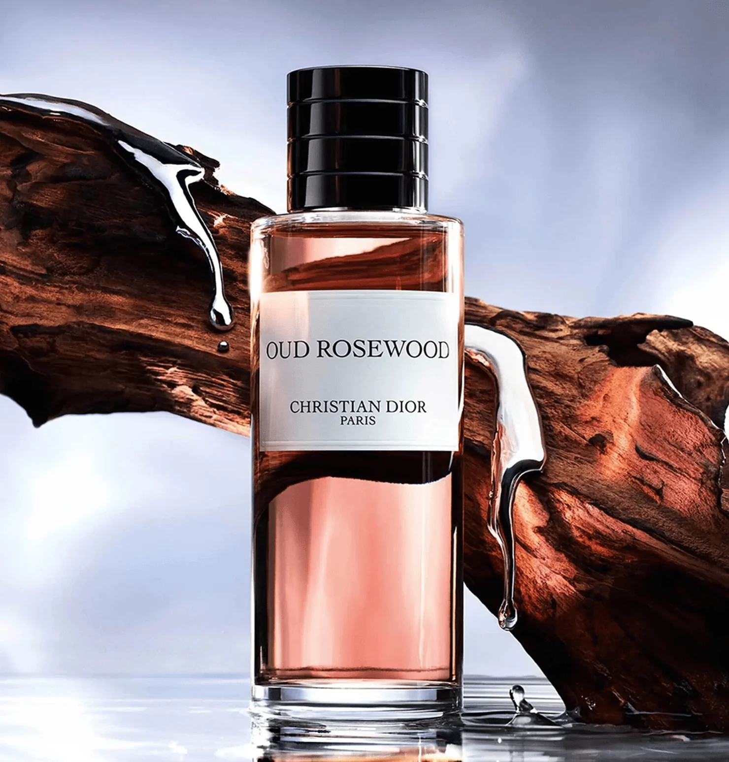 Christian Dior Oud Rosewood Edp 250Ml - Image 3