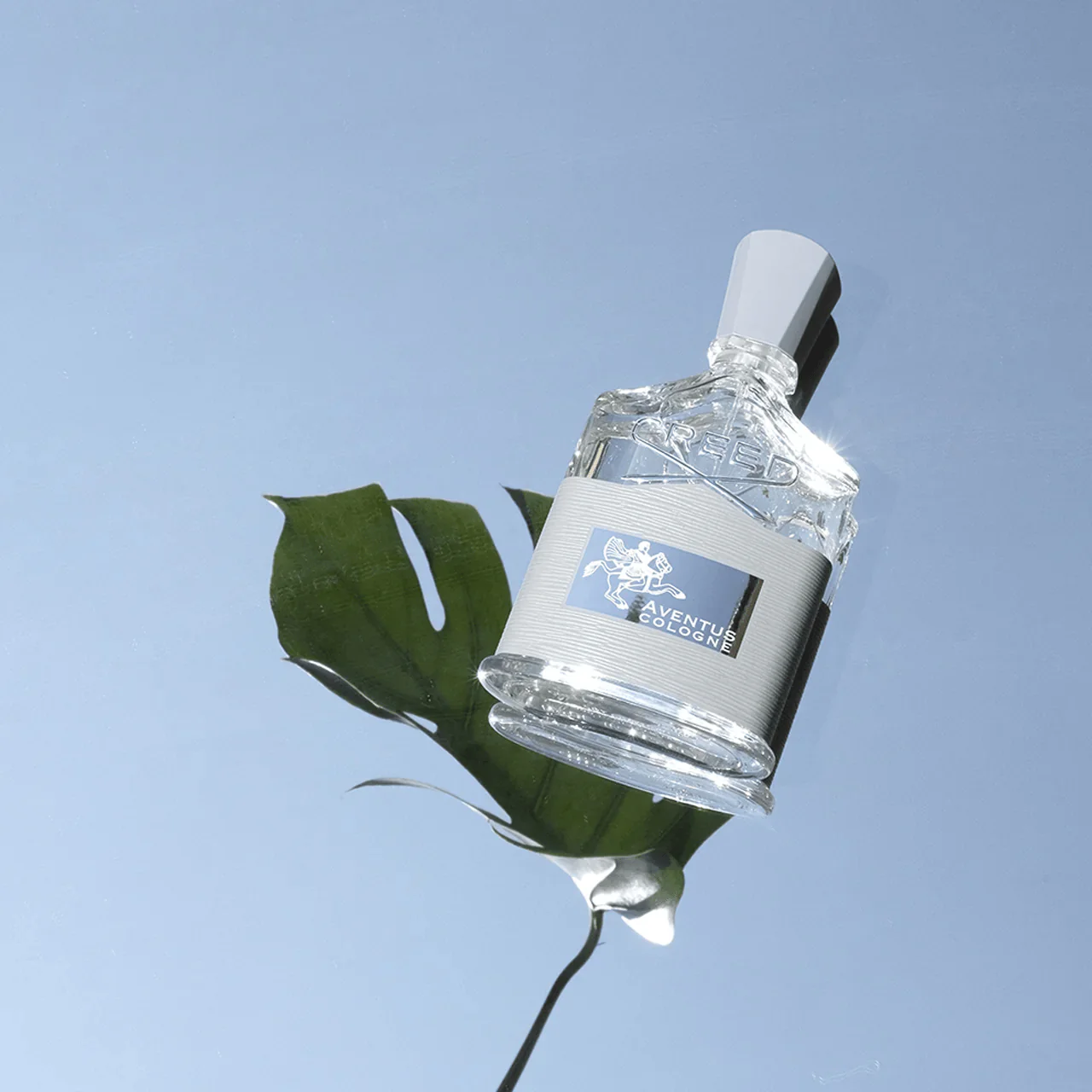 Creed Aventus Cologne EDP - Image 3