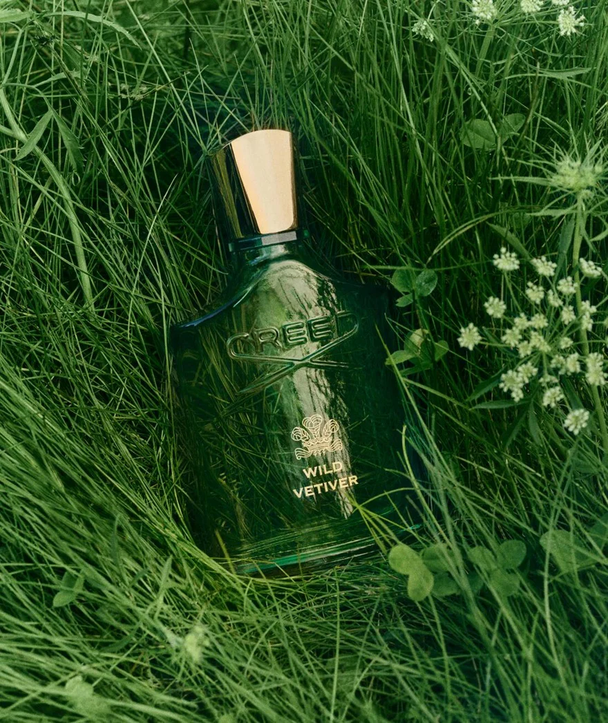 Creed Wild Vetiver EDP 100 ml - Image 4