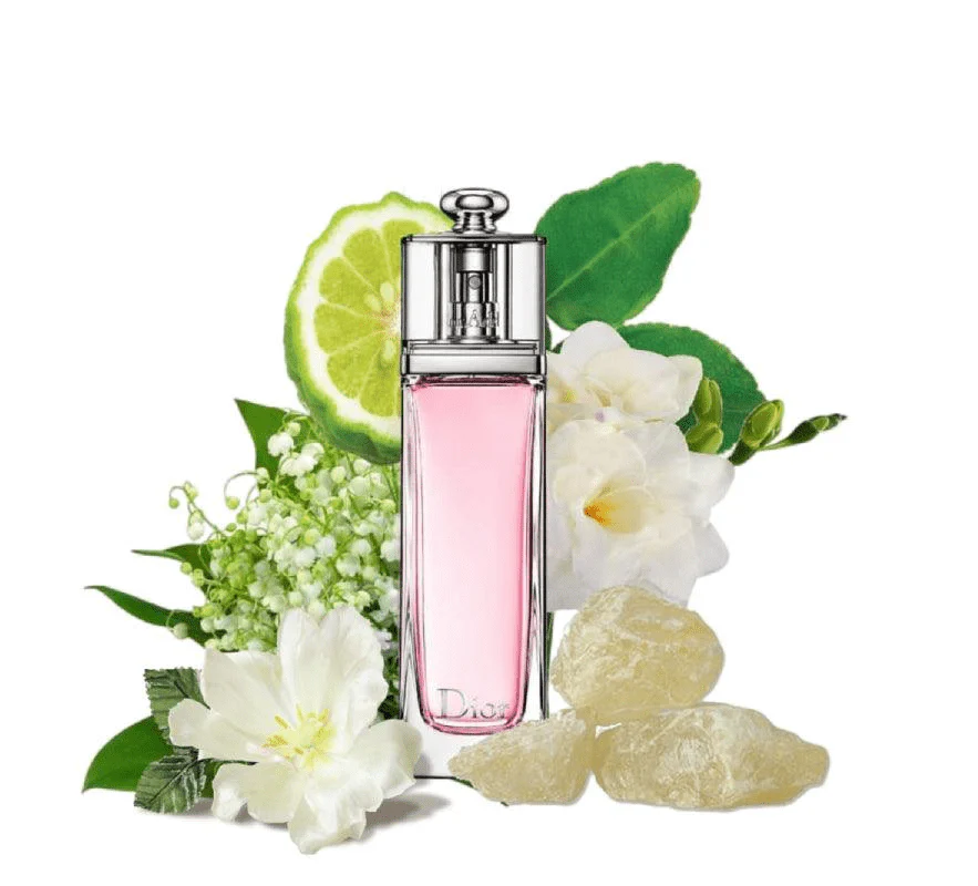 Dior Addict Eau Fraiche 100ml - Image 3