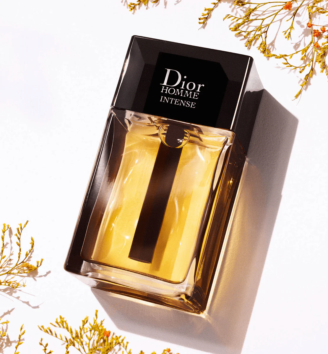 Dior Homme Intense EDP 100ml - Image 3