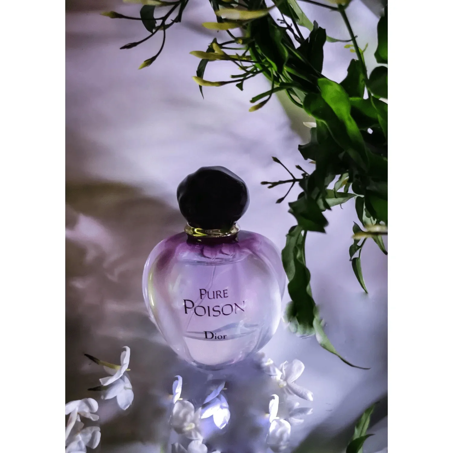 Dior Pure Poison EDP 100ml - Image 3