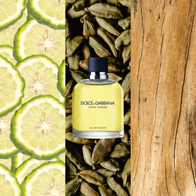 DOLCE & GABBANA Pour Homme EDT - Image 3