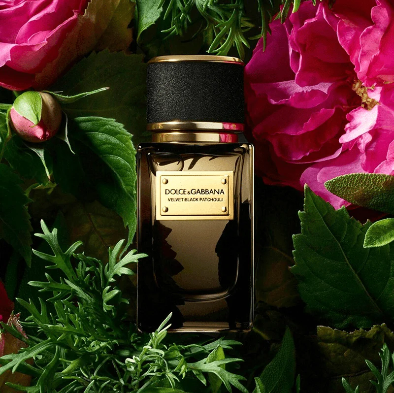 DOLCE & GABBANA Velvet Black Patchouli EDP 150ml - Image 3