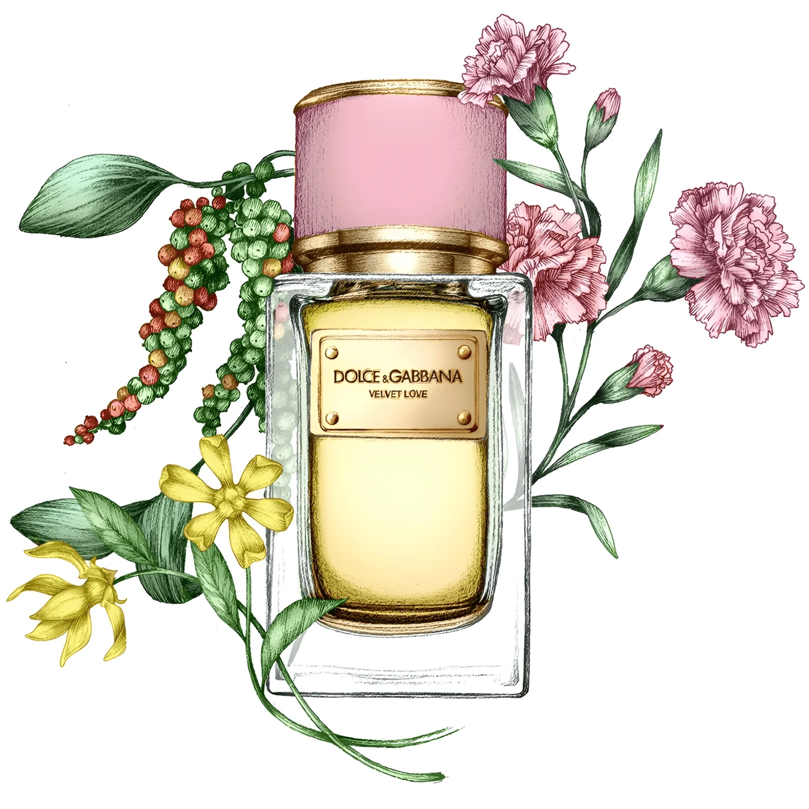 Dolce & Gabbana Velvet Love EDP 150 ml - Image 3