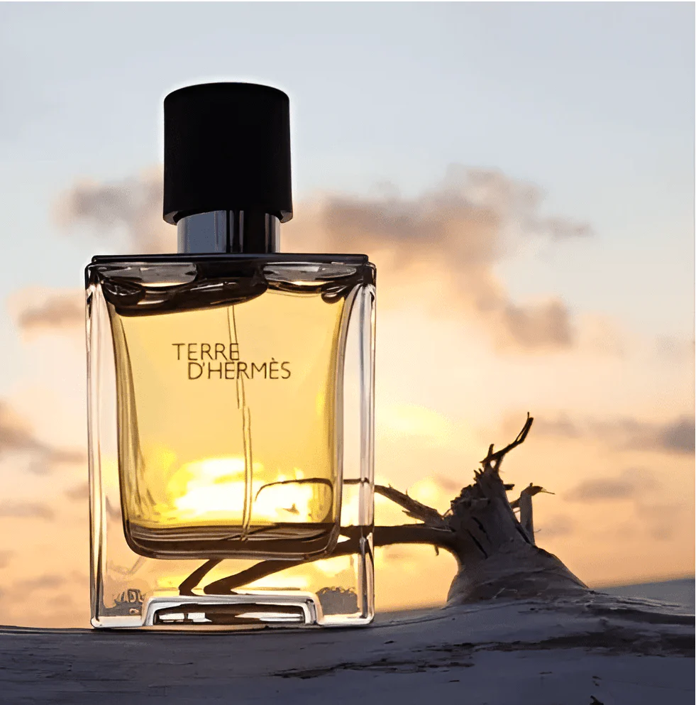 Hermes Terre D' Hermes EDT 100ml - Image 3