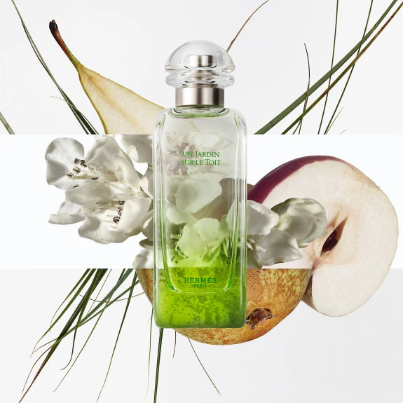 Hermes Un Jardin Sur Le Toit EDT 100 ml - Image 3