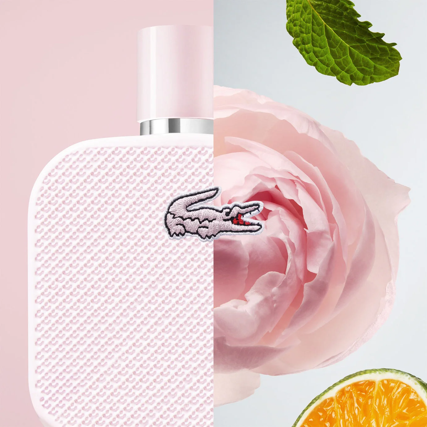 Lacoste L.12.12 Rose EDP 100 ML - Image 3