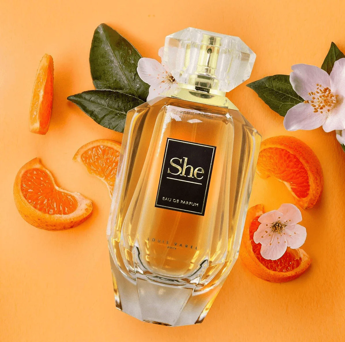 Louis Varel She EDP 100ml - Image 3