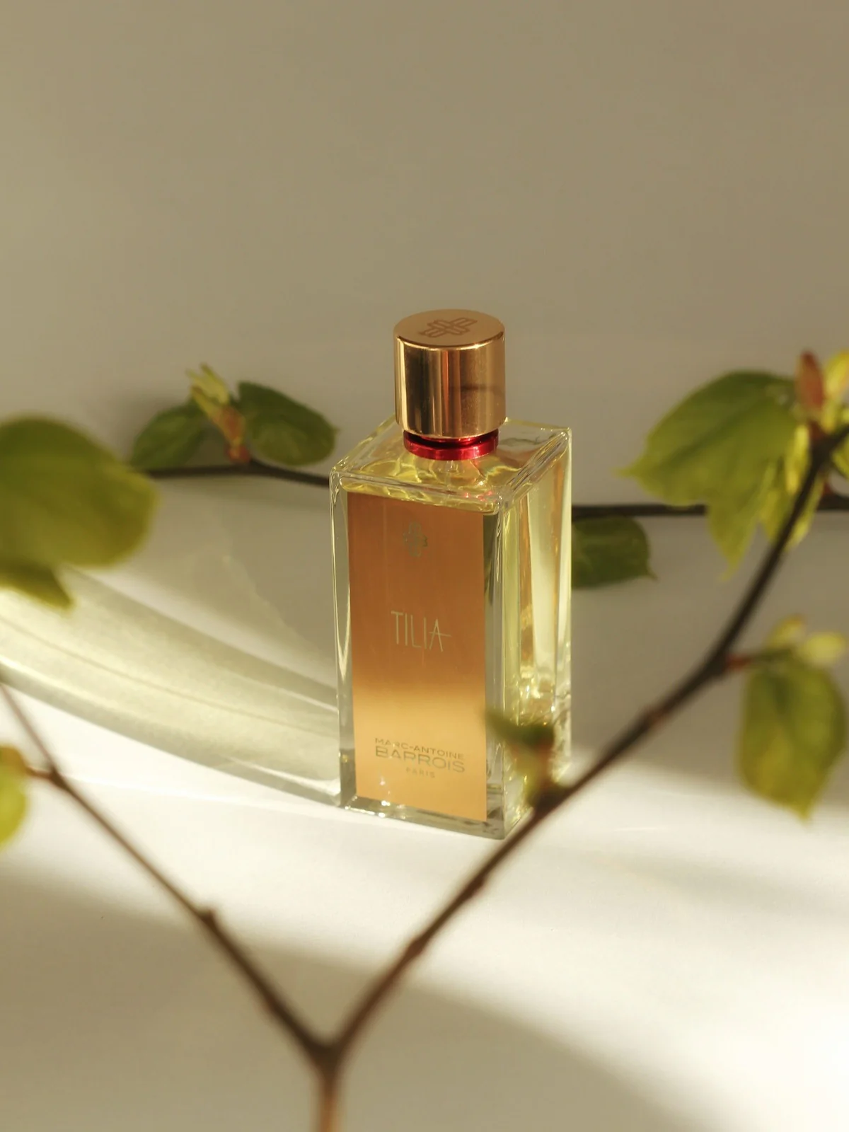 Marc-Antoine Barrois Tilia EDP 100 ML - Image 3