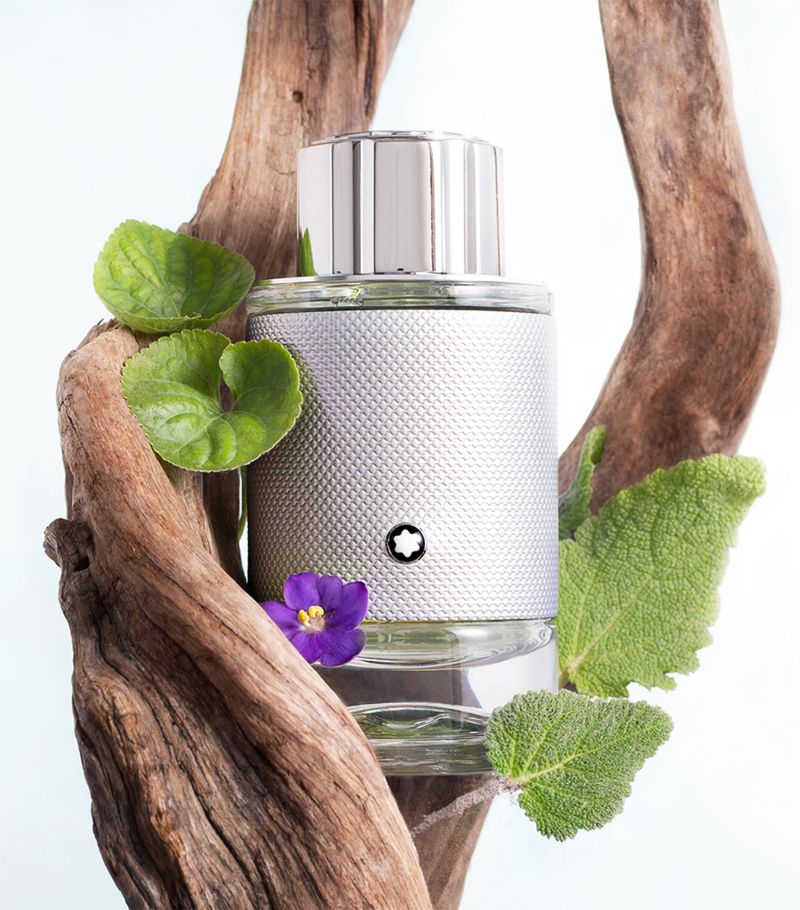 Mont Blanc Explorer Platinum EDP 100ml - Image 3