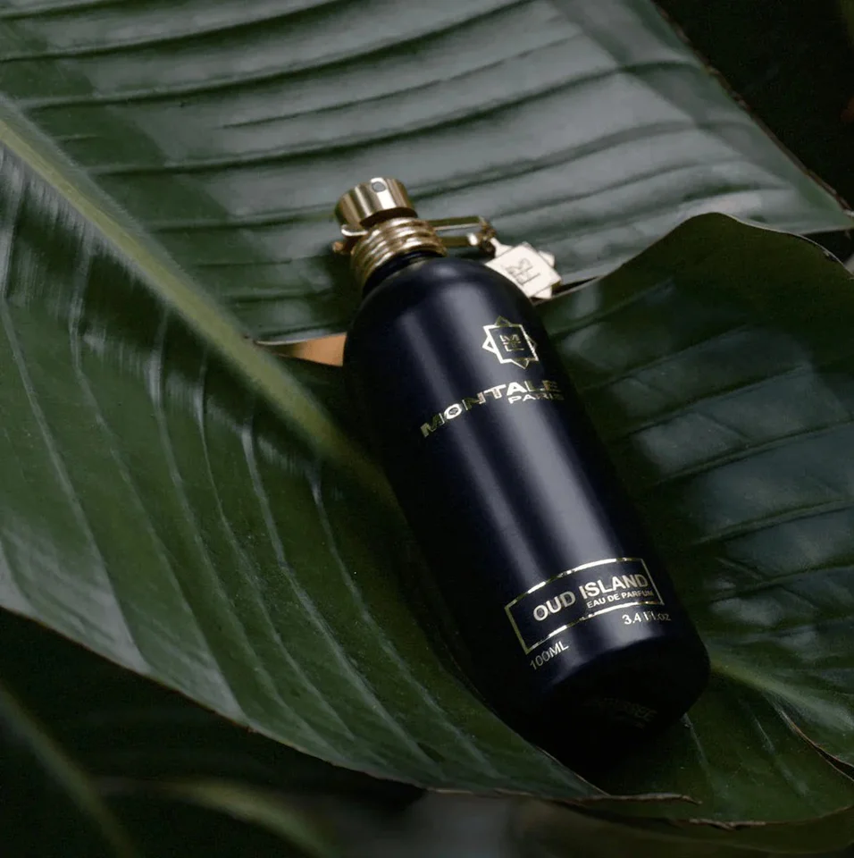 Montale Oud Island 100ml EDP - Image 3