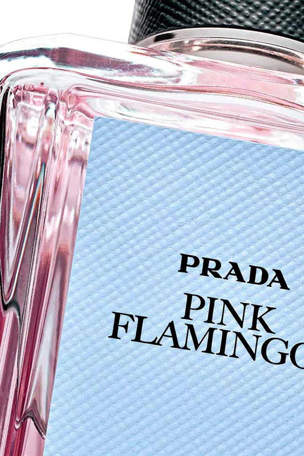 Prada Olfactories Pink Flamingos EDP 100ml - Image 3