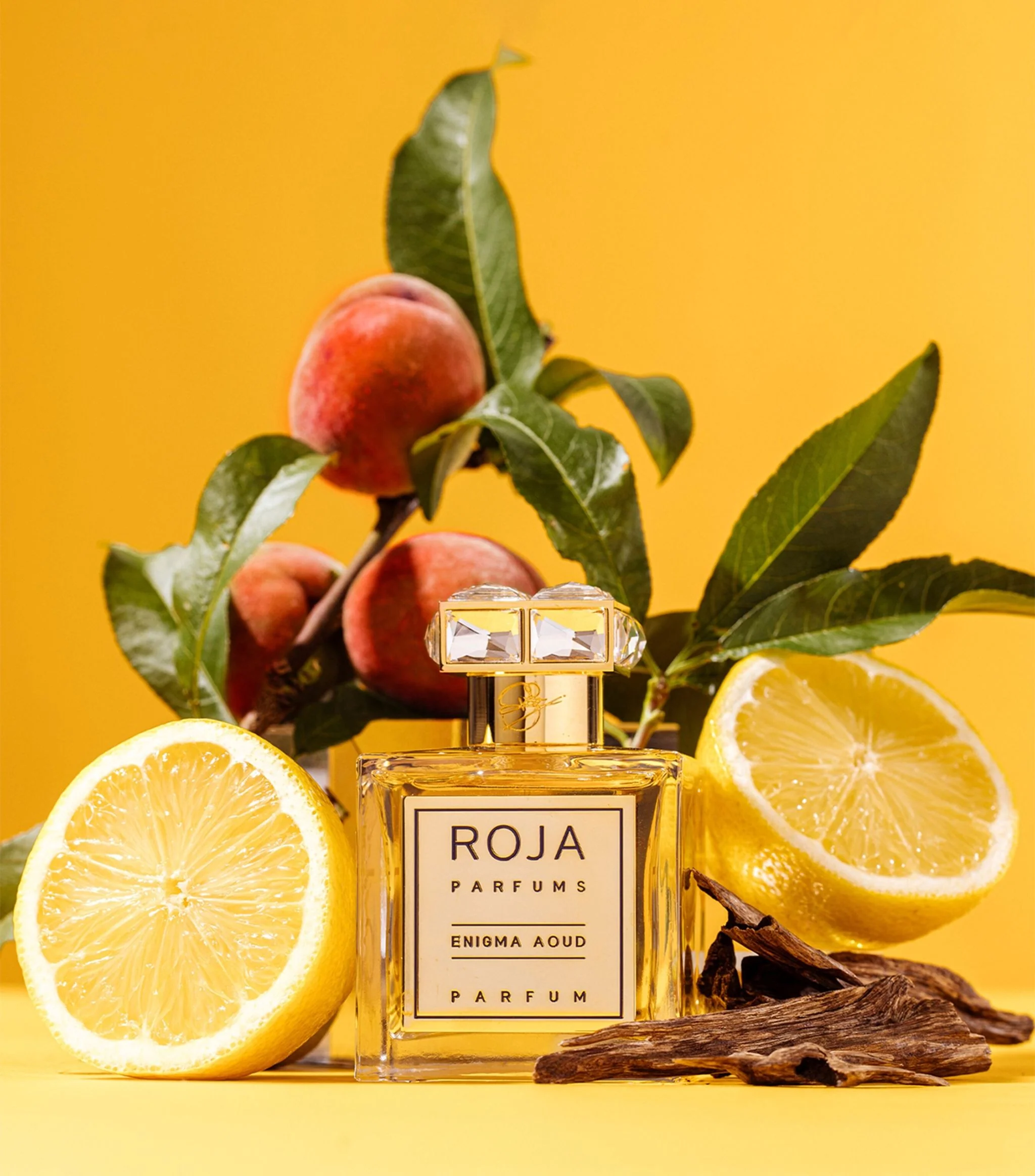 Roja Enigma Aoud Parfum 100 ml - Image 3