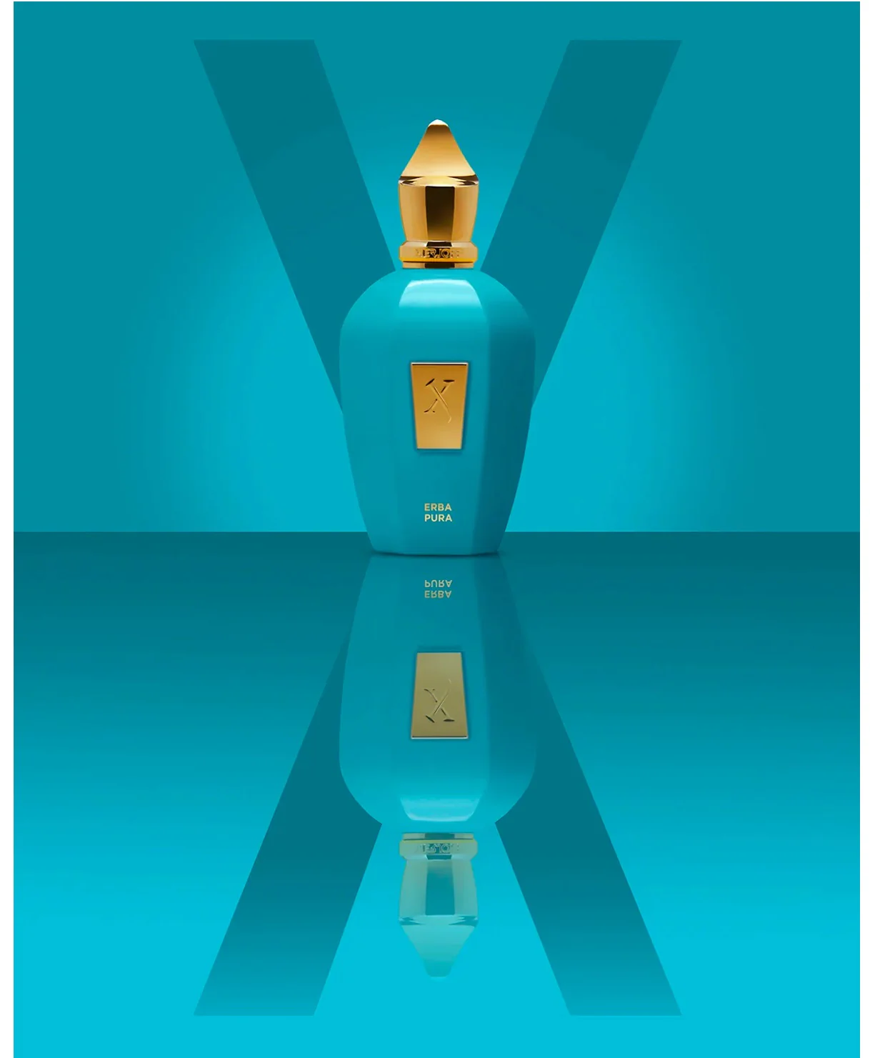 Xerjoff Erba Pura EDP 100ml - Image 3
