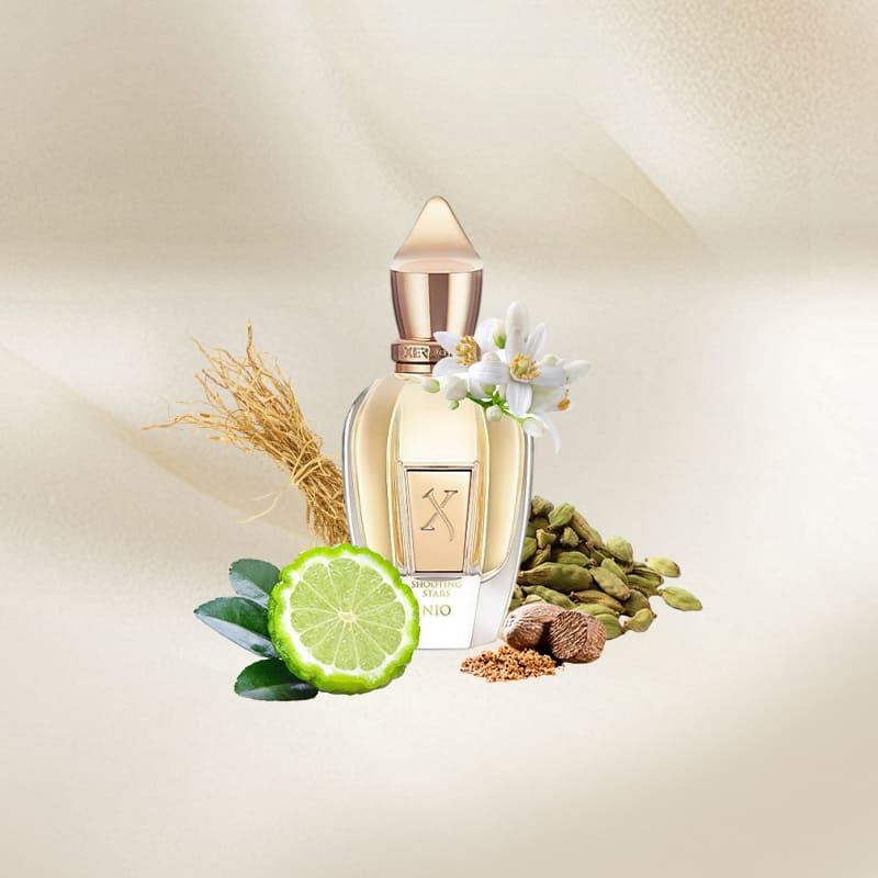 Xerjoff Nio - Shooting Stars 50 ml - Image 3