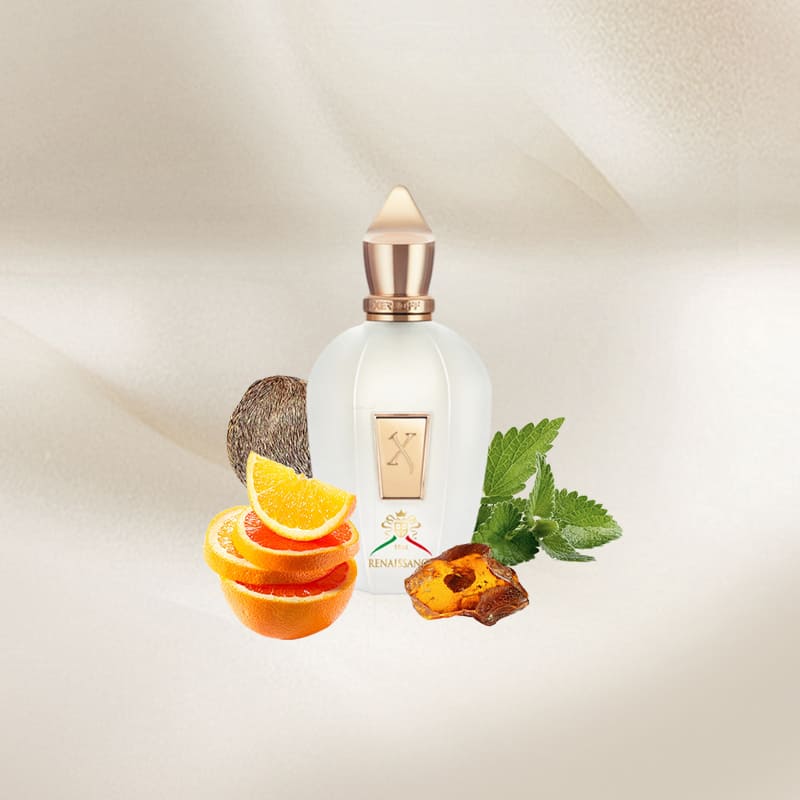 Xerjoff Renaissance EDP 100ml - Image 3
