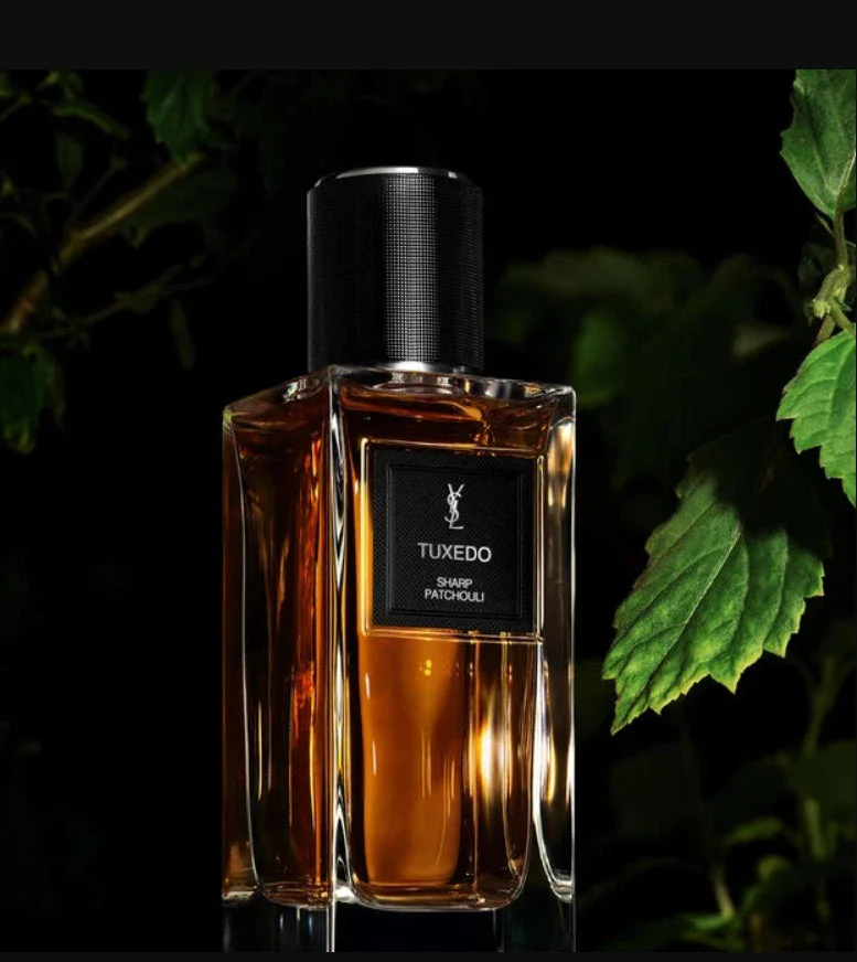 Yves Saint Laurent Tuxedo Sharp Patchouli  EDP 125 Ml - Image 3
